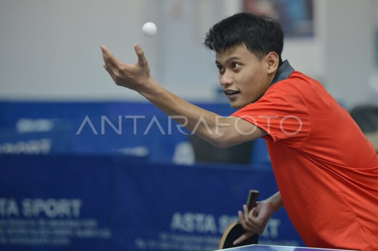 Profil Atlet Tenis Meja Borzou Mehraban: Prestasi dan Perjalanan